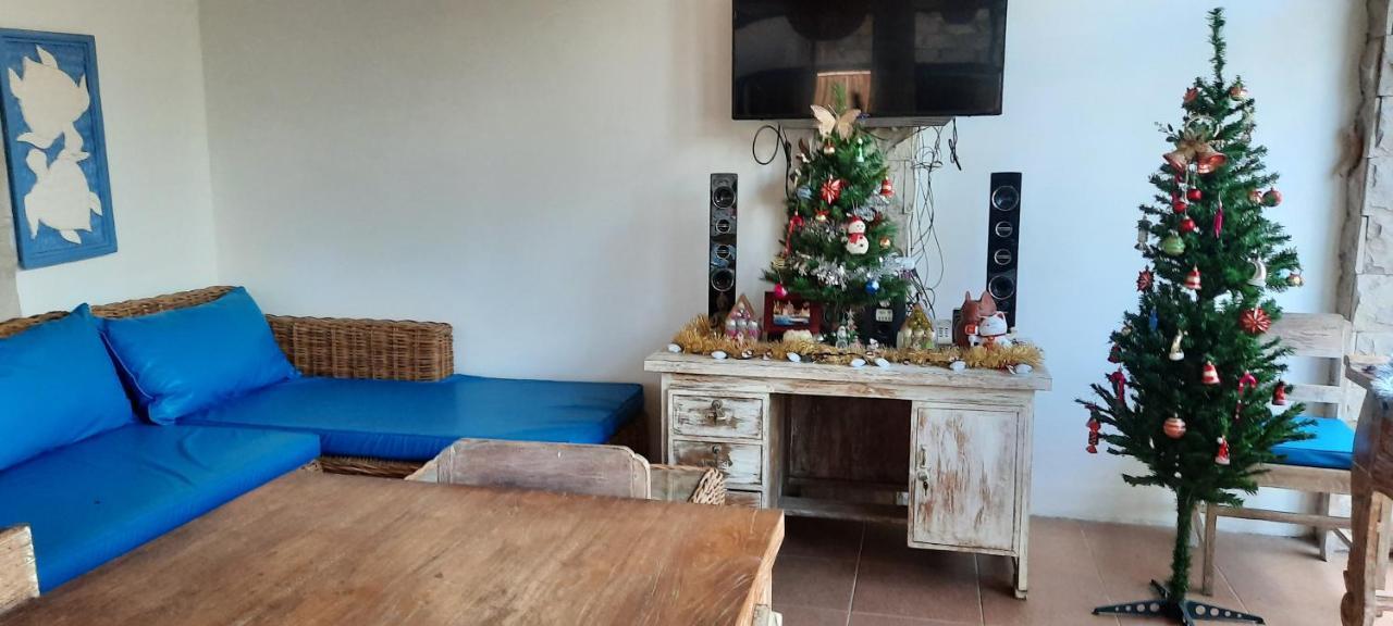 Turtle Island Homestay Sanur  Exterior photo